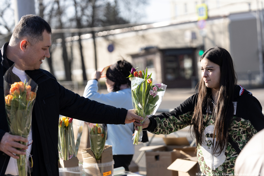Кругом мимозы и тюльпаны: как выглядят улицы Калининграда 8 марта (фото)