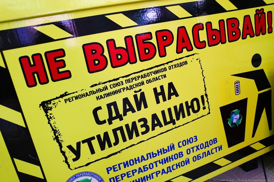 Переработчики: ртуть из выброшенных ламп попадает в контейнеры, это непоправимый урон
