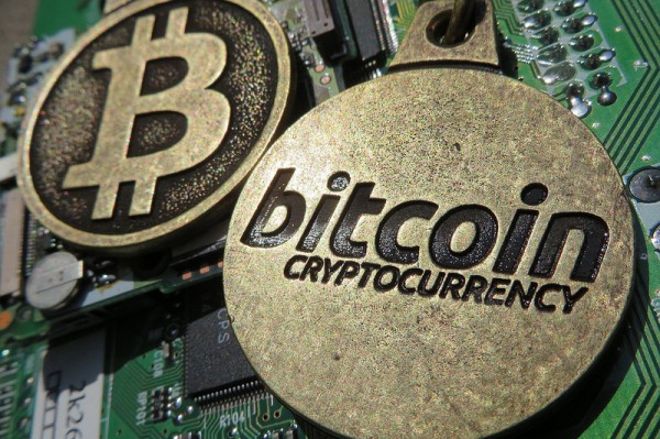 Приглашаем на новые курсы в «Школе компьютерных наук»