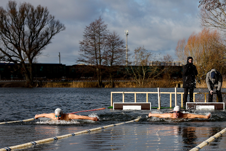 Время моржей: в  Калининграде прошли соревнования по зимнему плаванию (фото)