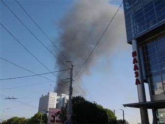 В Калининграде на Острове горит камыш, столб дыма видно за несколько километров (фото)
