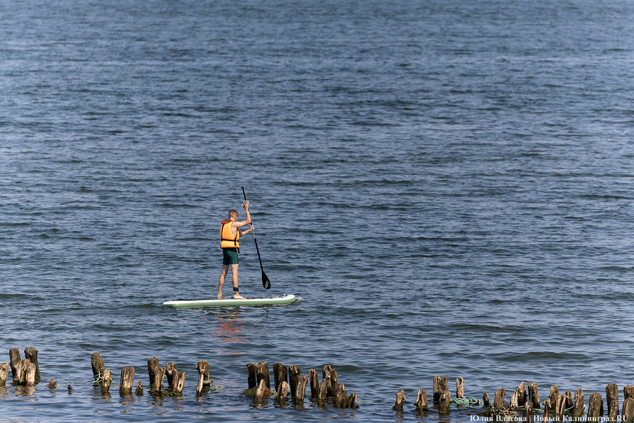 Опалённые солнцем: что происходит в Зеленоградске в рекордную жару (фото)