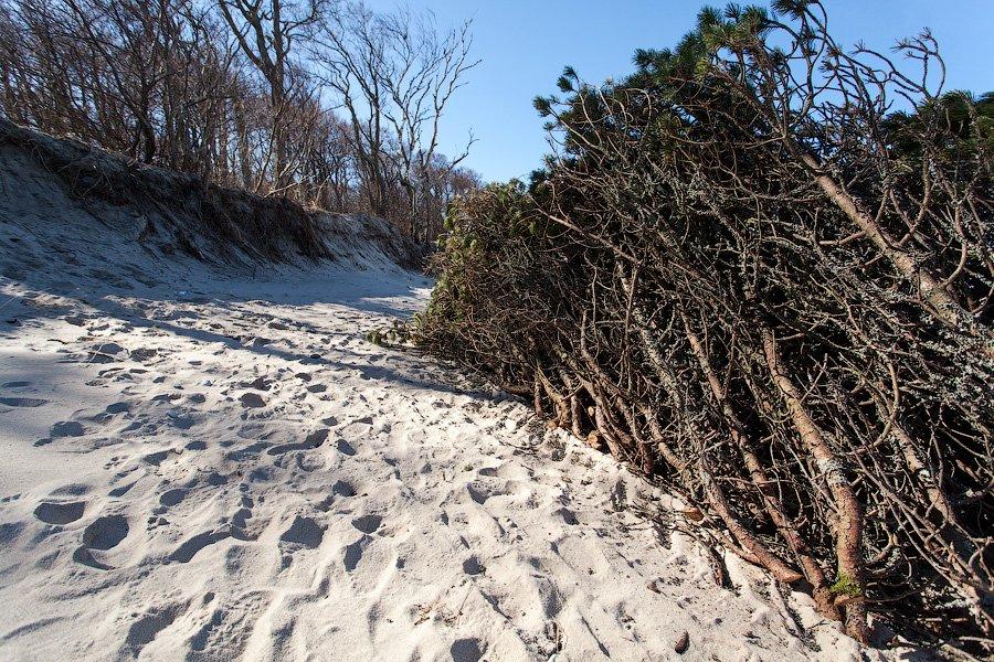 «Спасение косы: любительский вариант»: фоторепортаж «Нового Калининграда.Ru»