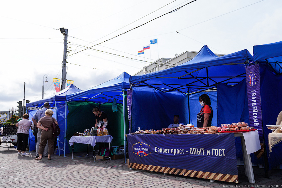 Базар-вокзал: как проходит сельхозярмарка на площади Победы в Калининграде