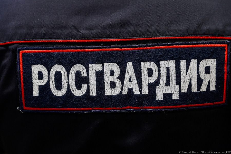 В Калининграде росгвардейцы спасли собаку из горевшей квартиры на Литовском валу