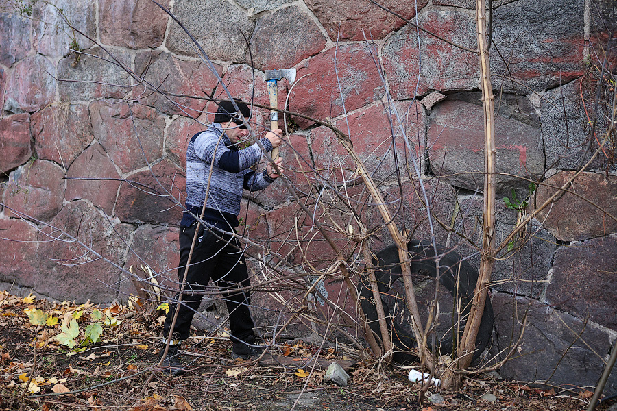 Бастион и порядок: в «Литве» провели первый субботник (фото)
