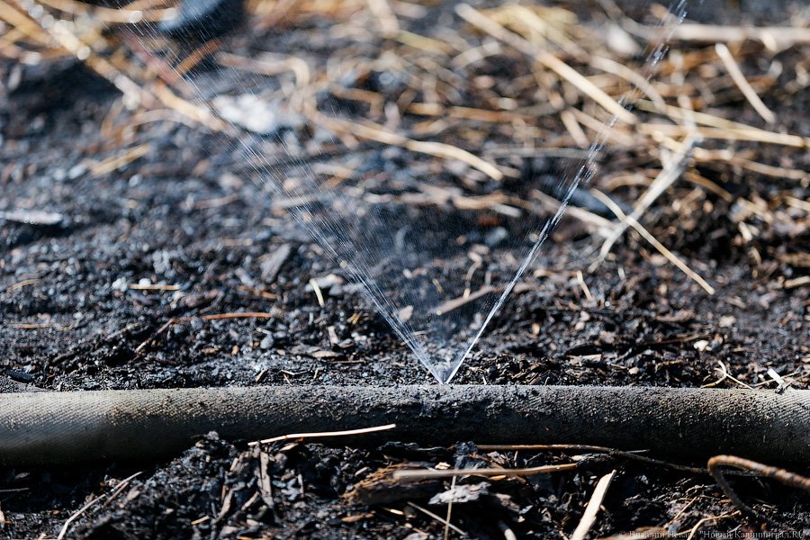 «Пламя из недр»: что происходит на горящих короотвалах в Калининграде (фото)