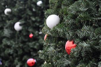 Лапин: "Все елки в Калининграде пройдут по плану и в безопасности"