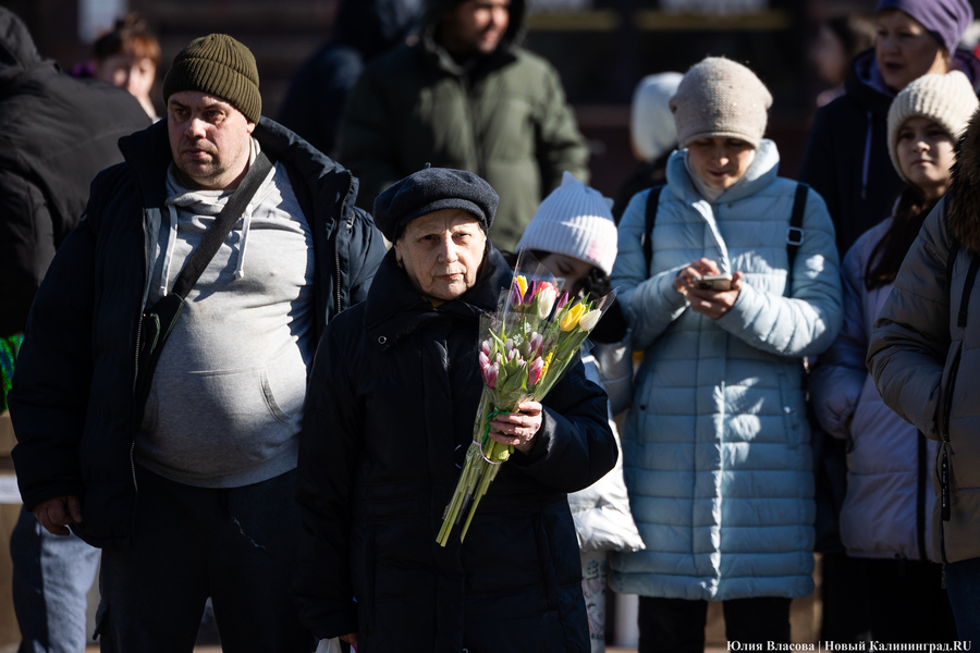 Цветочные баррикады: как выглядят улицы Калининграда 8 марта (фото)