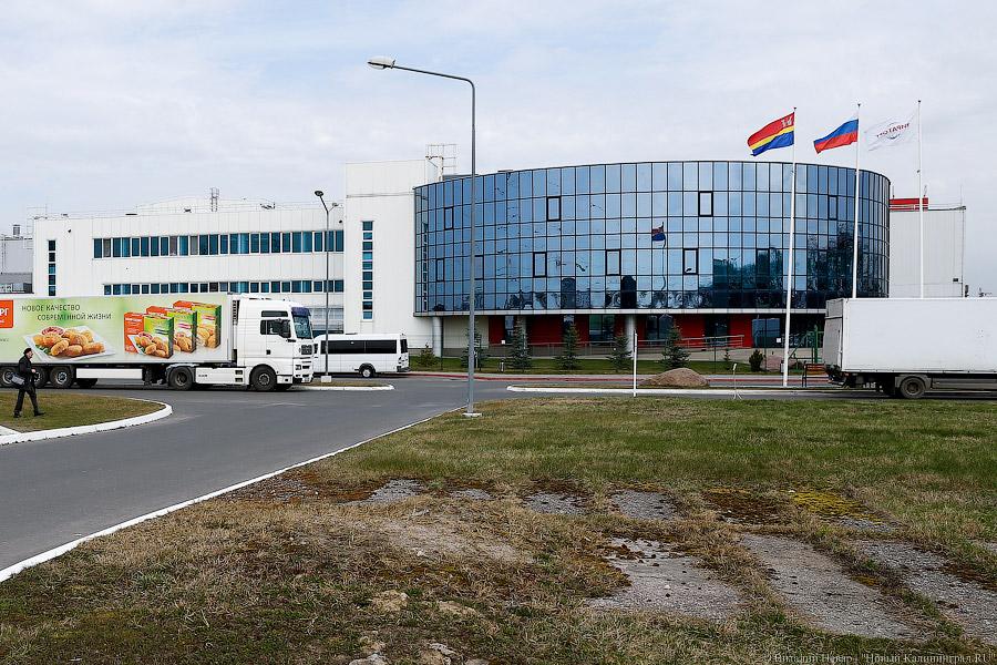 Галопом по котлетам: главе Минсельхоза РФ показали два завода в Калининграде