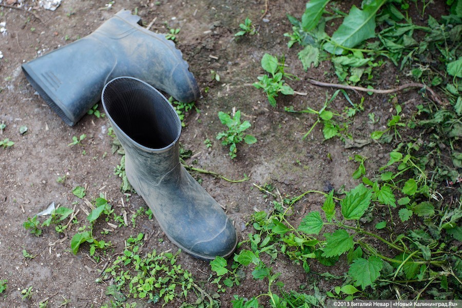 Дома, на даче, в саду: россияне поделились с ВЦИОМ планами на лето