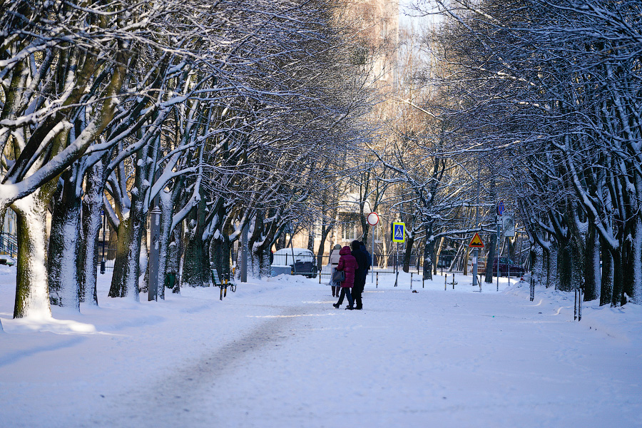 «Насладиться» зимой: во что превратились дороги в Калининграде после снегопада (фото)