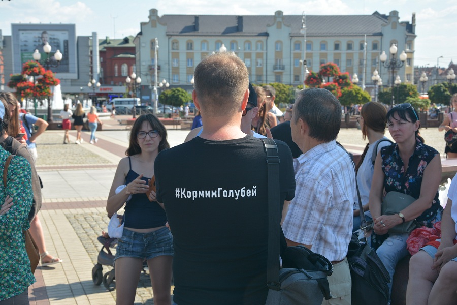 Пели «Перемен»: монологи калининградцев, которым грозит штраф за «кормление голубей»