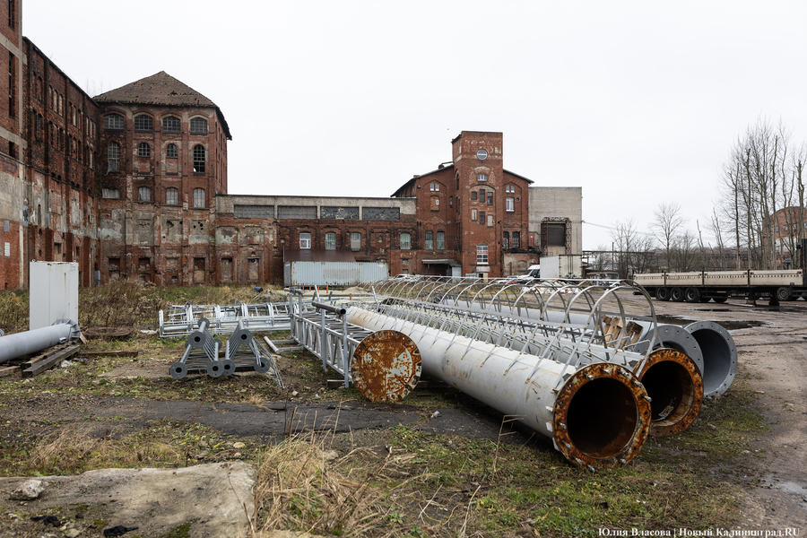 Постапокалиптический пейзаж: что происходит с территорией бывшего ЦБЗ-1 (фото)