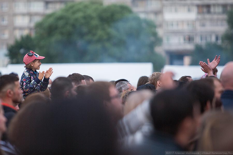 Бесконтактный зоопарк: самый удачный гала-концерт Дня города в Калининграде