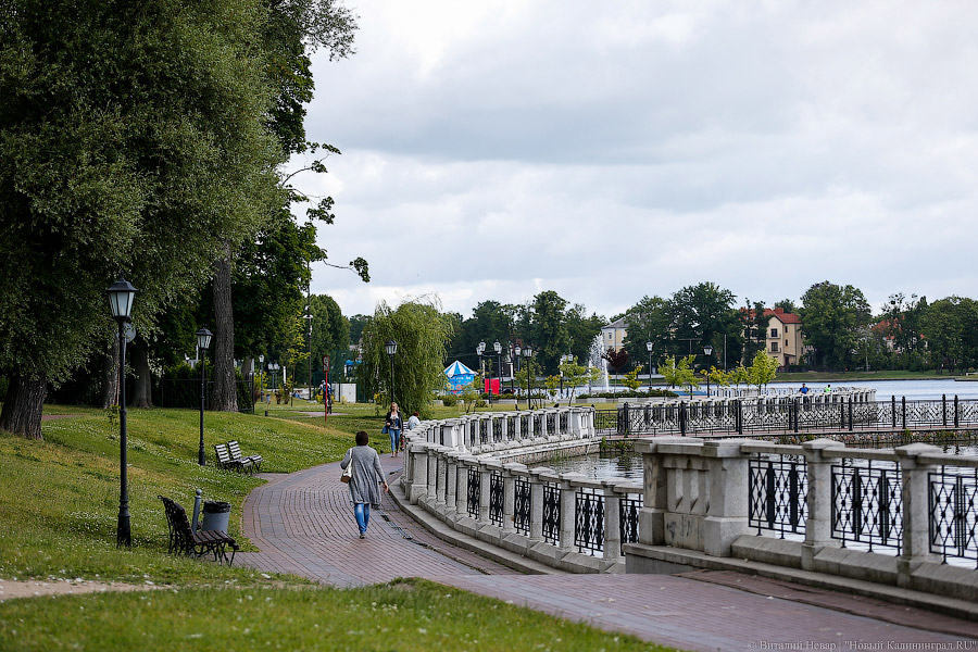 Воспитание улицей: как в Калининграде открывали площадку для воркаута