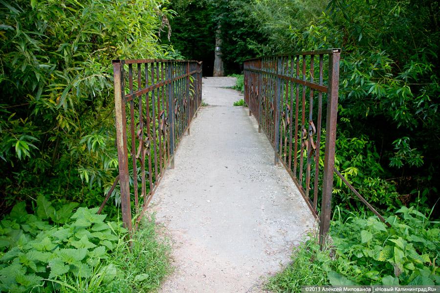 В ожидании чуда: судьба Макс-Ашманн-парка