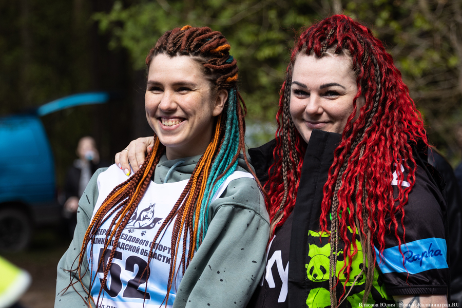 Совсем не Джек Лондон: как калининградцы с питомцами соревновались в ездовом спорте (фото)