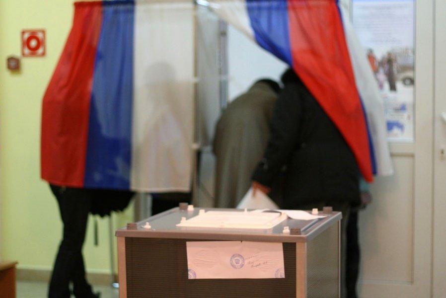 "Выборная карусель": репортаж "Нового Калининграда.Ru"