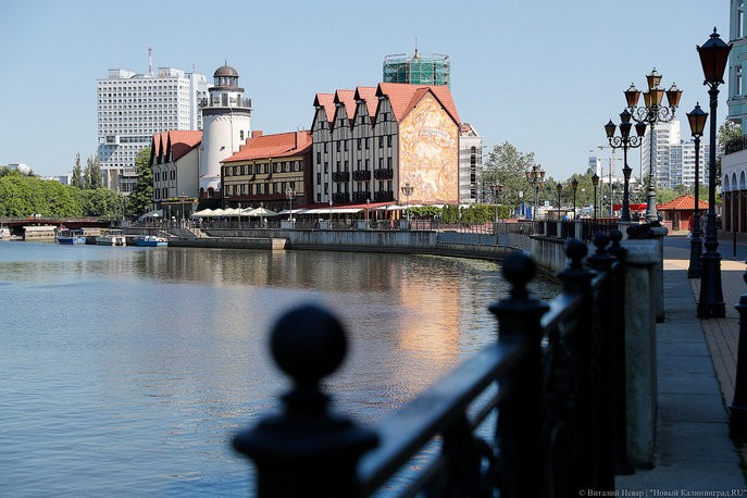 Фото — Виталий Невар, «Новый Калининград»