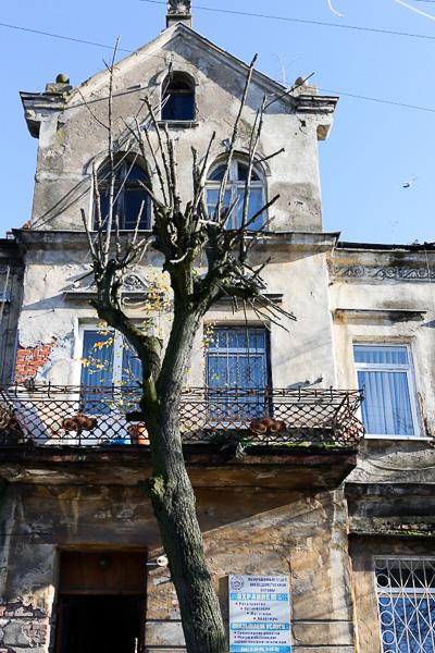 Городок вне табакерки: Тапиау в Гвардейске