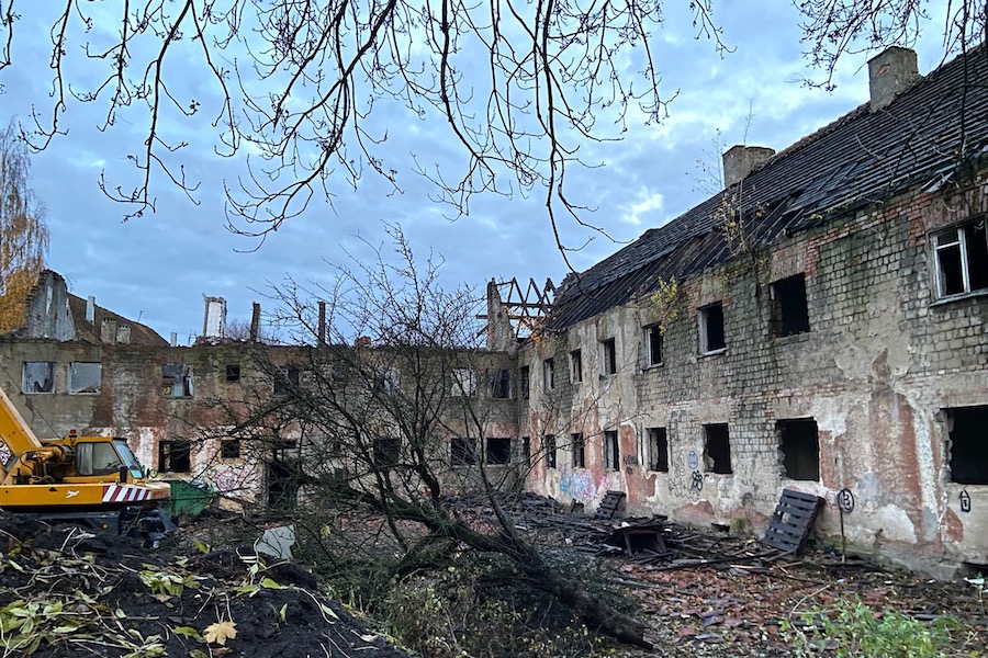 Прокуратуру заинтересовала вырубка в зеленой зоне у «Вагонки» (фото)