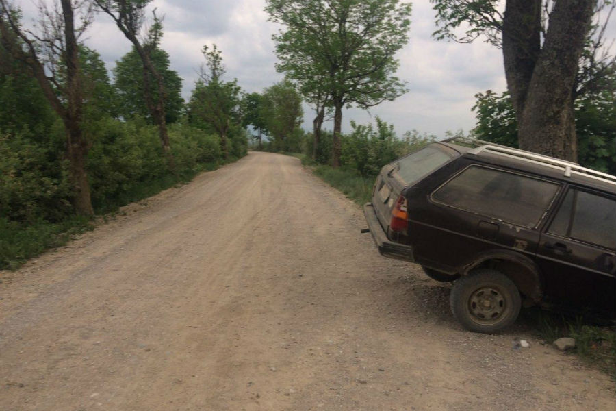 Под Озерском «Фольксваген» врезался в дерево, водитель погиб (фото)