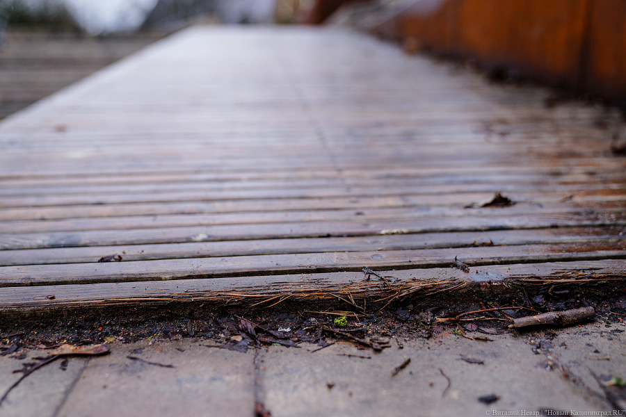 «Грязные» миллионы: во что превратился благоустроенный остров Канта к весне (фото)