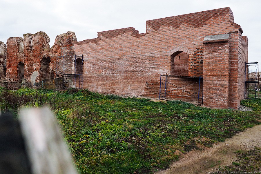 Фото — Виталий Невар, «Новый Калининград»