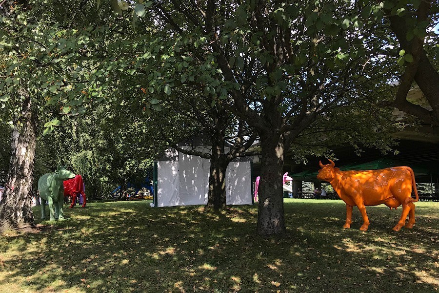 На острове Канта проходит городской пикник. Рассказываем, что успели попробовать