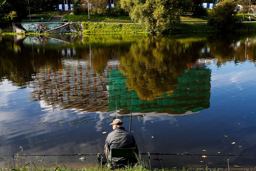 Блеск и нищета: что происходит с набережной Нижнего озера в Калининграде