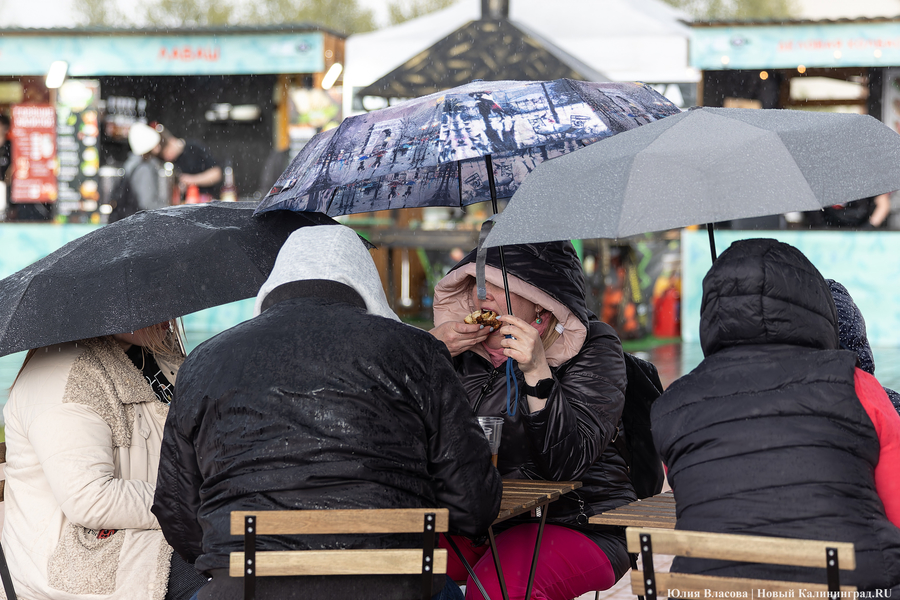 И рыба, и мясо: в Зеленоградске открылся гастрономический «Фиштиваль» (фото)