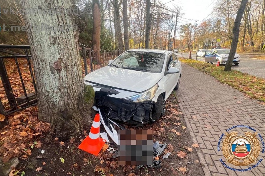 На ул. Тельмана в Калининграде автомобиль вылетел на тротуар и врезался в дерево (фото) (видео)