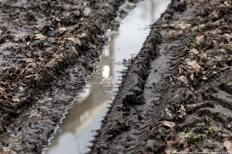 Непролазная грязь: как выглядит берег Литовского ручья в ожидании реновации (фото)