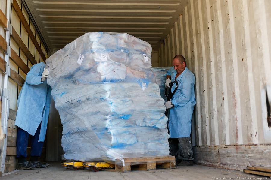 Похороны сала: как под Калининградом санкционную еду уничтожали