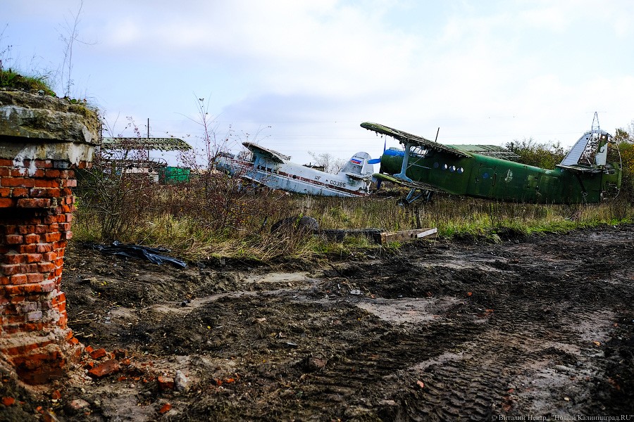 Фирма семьи политтехнолога провела опрос о благоустройстве Девау. Власти сочли итоги «хорошими»