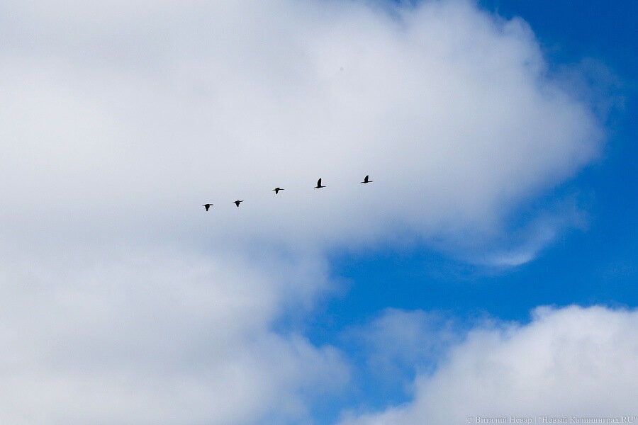 В выходные ожидают жару, возможны осадки