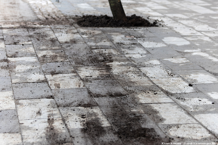 Последствия «сделанных выводов»: что происходит на ул. Красной перед сдачей (фото)