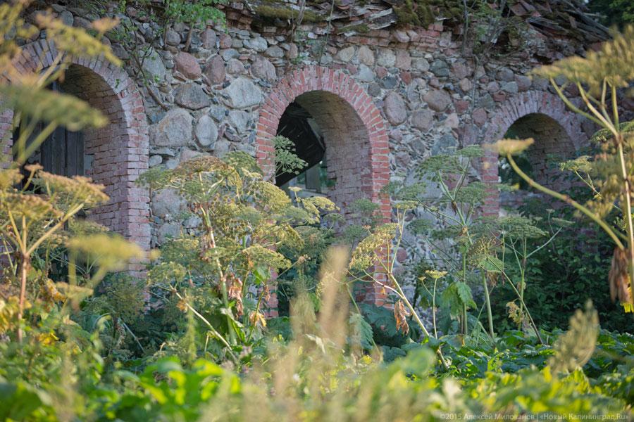 «Когда-то был пожар»: кирха XVIII века в поселке Яблоновка под Озерском