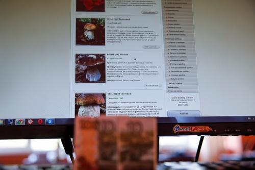 День 13: подножный корм