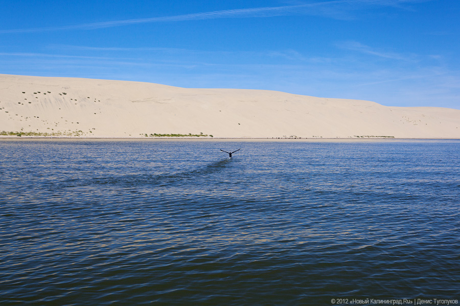 Синоптики обещают потепление к середине новой недели до 26-28°