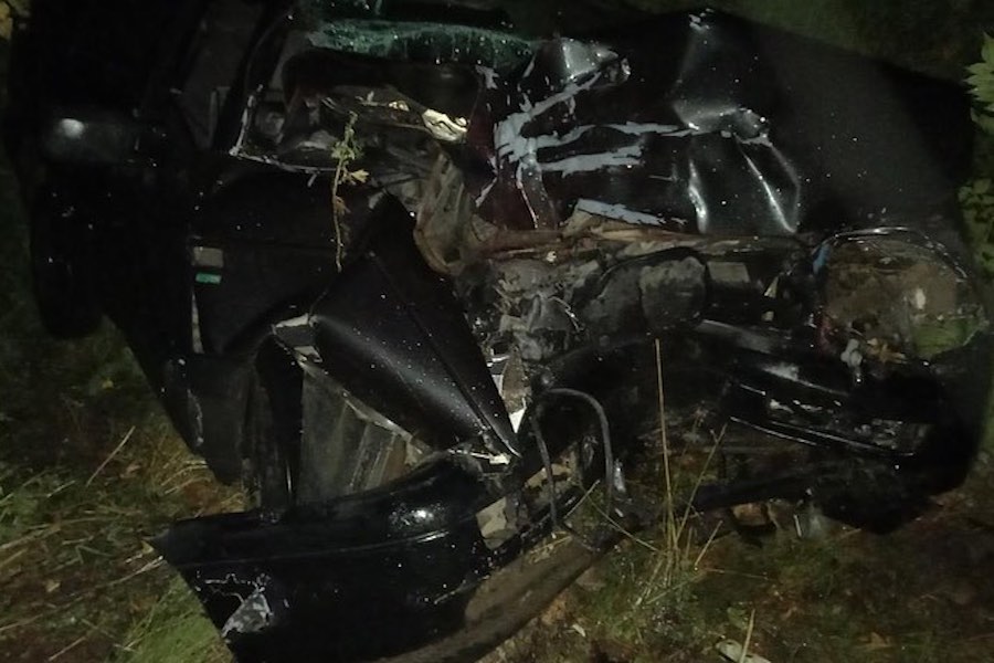 Под Нестеровом авто врезалось в дерево, пострадали двое взрослых и ребенок (фото)