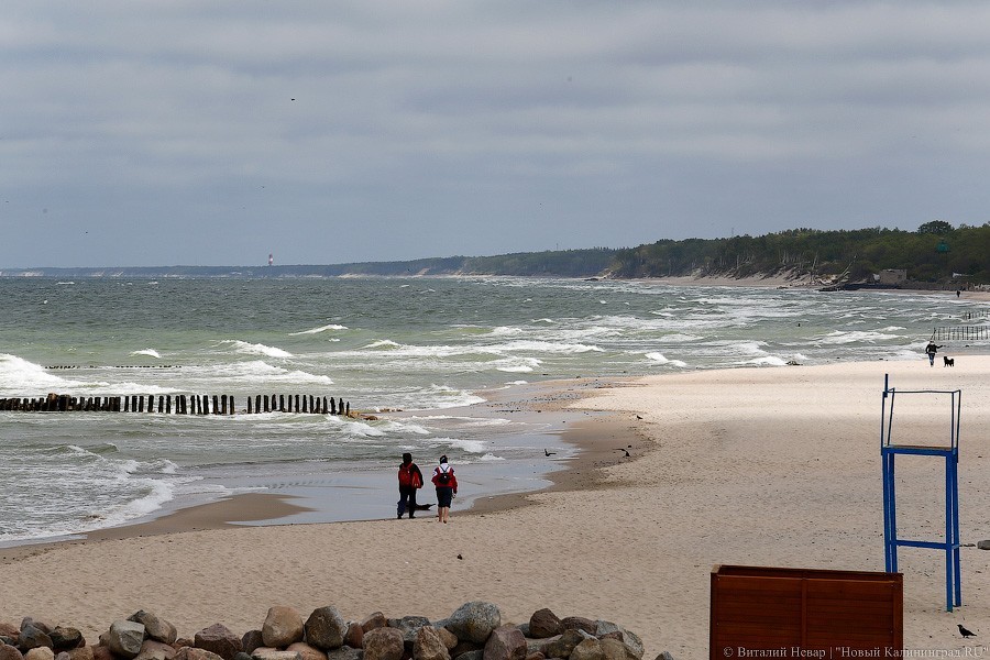 Виталий Невар / Новый Калининград