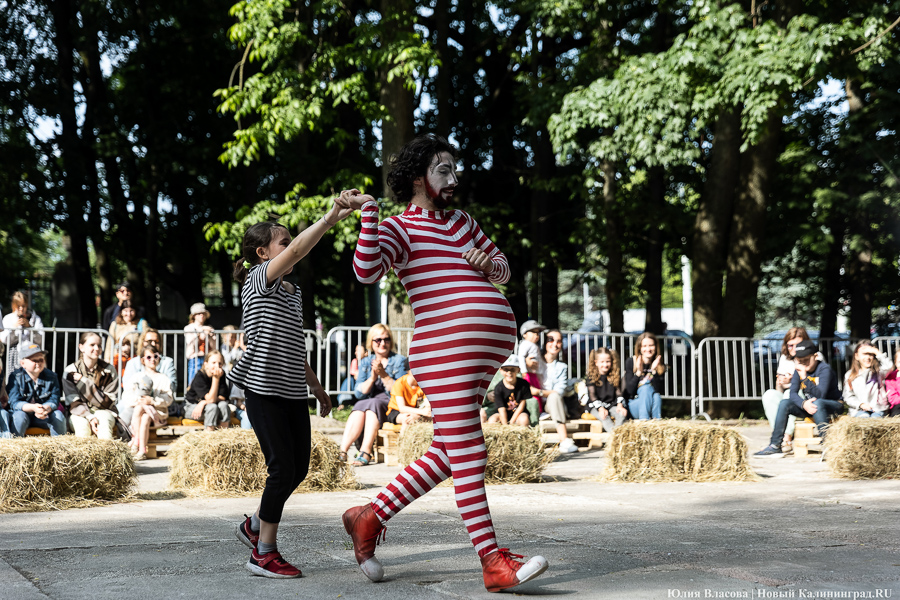 Это просто цирк какой-то: фестиваль «Башня» запустил уличную программу на «Балтике» (фото)