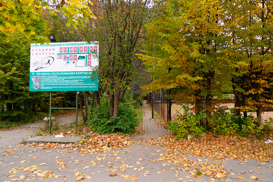 Увидеть в последний раз: осень на стадионе «Спартак», который хотят застроить (фото)