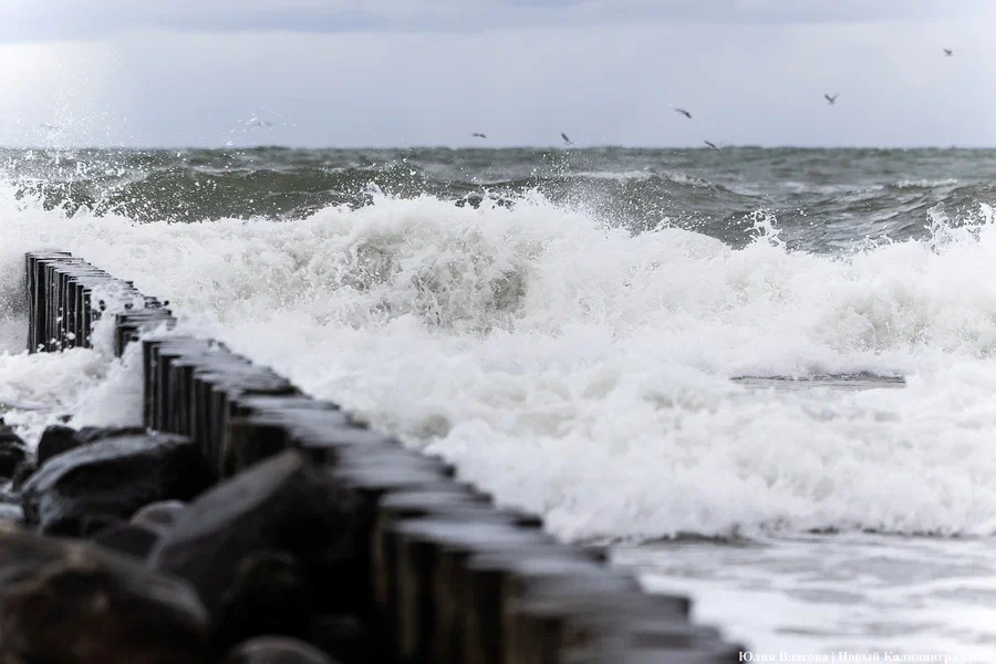 МЧС предупредило об усилении ветра в Калининградской области в ночь на 26 апреля