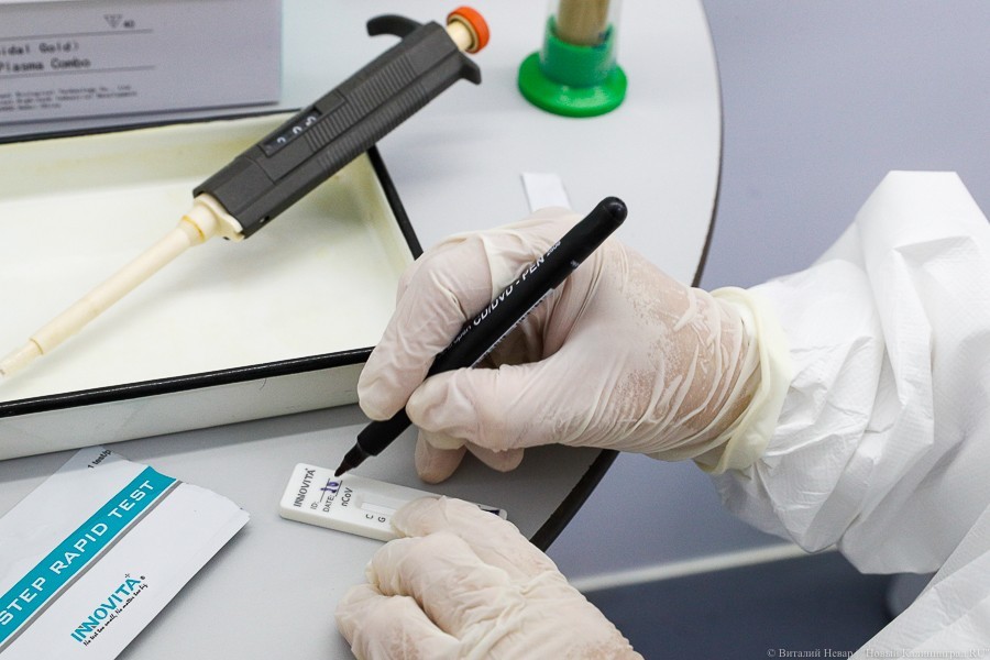 Четыре российских препарата для лечения от коронавируса вышли на этап госрегистрации