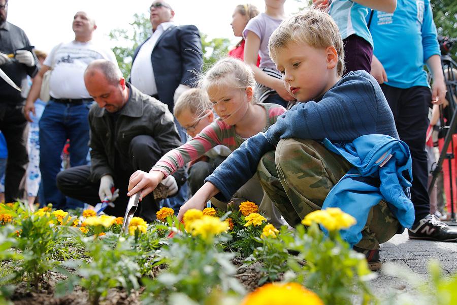 Мир, дружба, клумба: как мэрия Калининграда закругляла углы межнациональных отношений (фото)