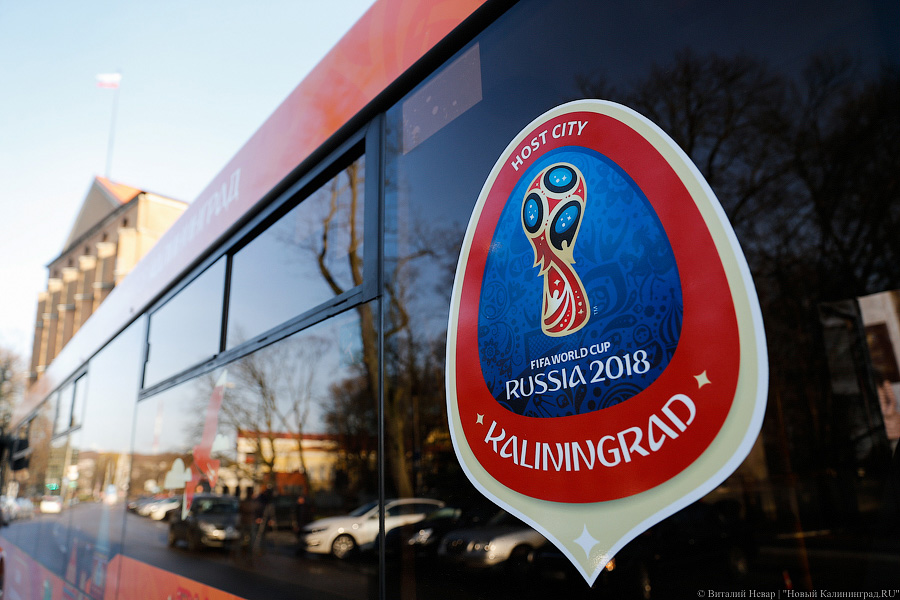 Верхом на трёхглазой змее: на калининградские автобусы нанесли символику ЧМ