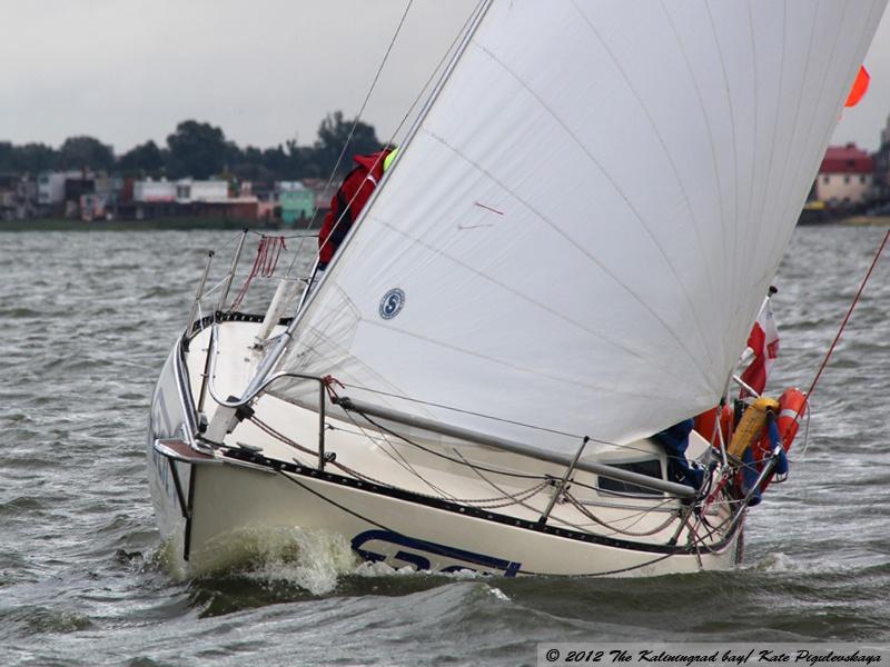 «Чемпионы залива»: репортаж с трансграничной регаты на кубок Калининградского залива